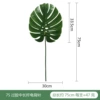 7s long rod over gum turtle leaf dark green A00446