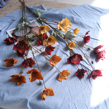 �S�ҬF؛��������6�^Сˮ�� ��ˮ�� ��Y�Ƶ�Ҿ��b��ķ��滨