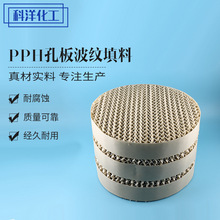 �S�����a�F؛�������y�������Ͽװ�Ҏ��PPH�͸ߜ�