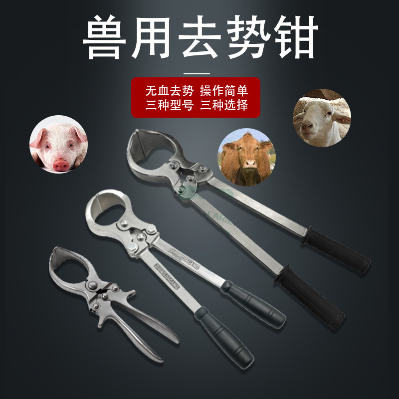 猪用不锈钢去势钳无血阉割钳小动物兽用趋势钳畜牧去势器工具耐用