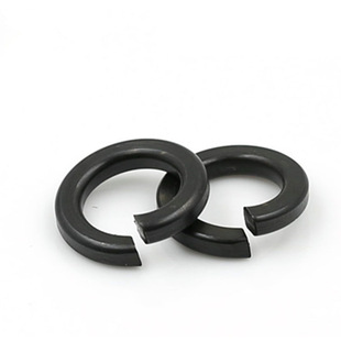 SֱN8.8ݏɉ|Ȧ lߏȏ|  MM8M10M12