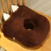 Brown cat