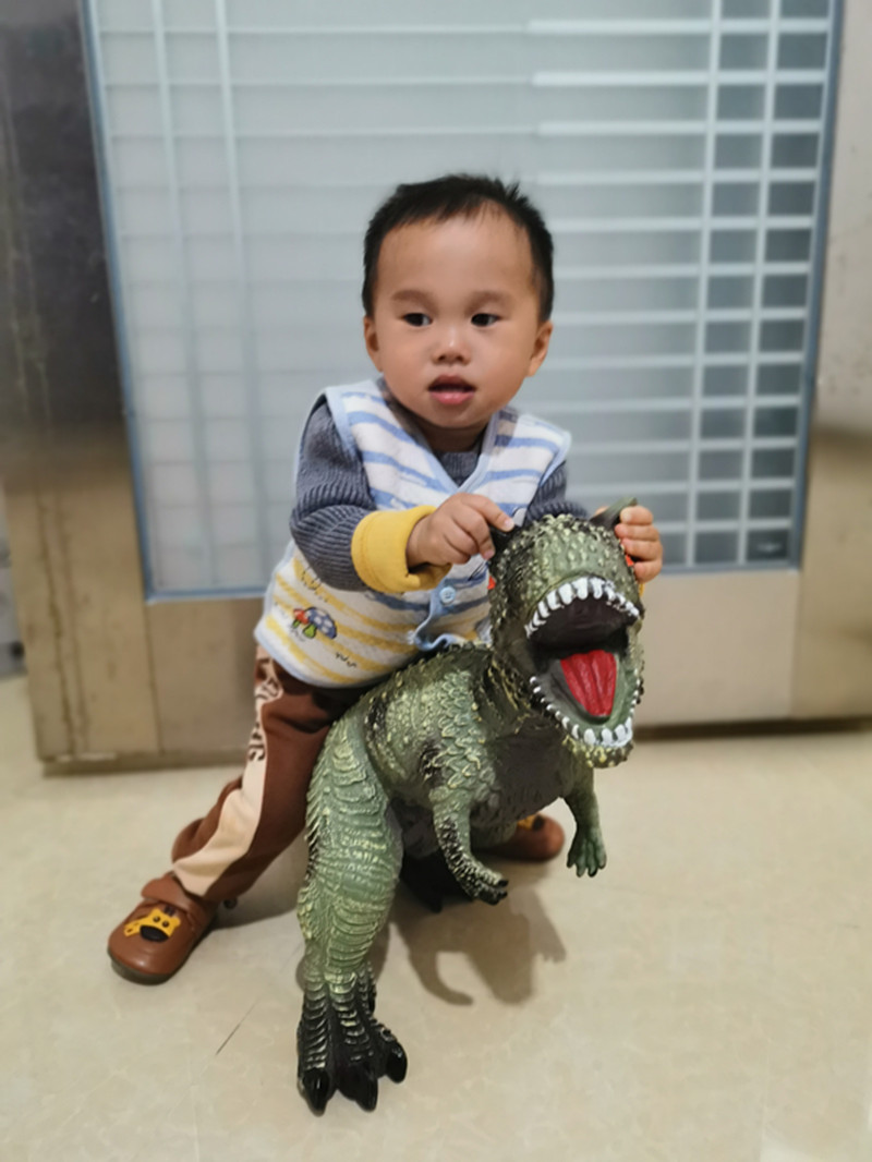 Giant Niujiao Dragon Simulation
