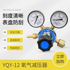减压器;压力表;双金属温度计