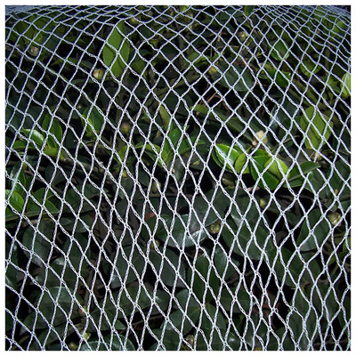 全新料厂家直供防护网蔬菜果园农用防晒遮阳养殖网防鸟网防害虫网|ms