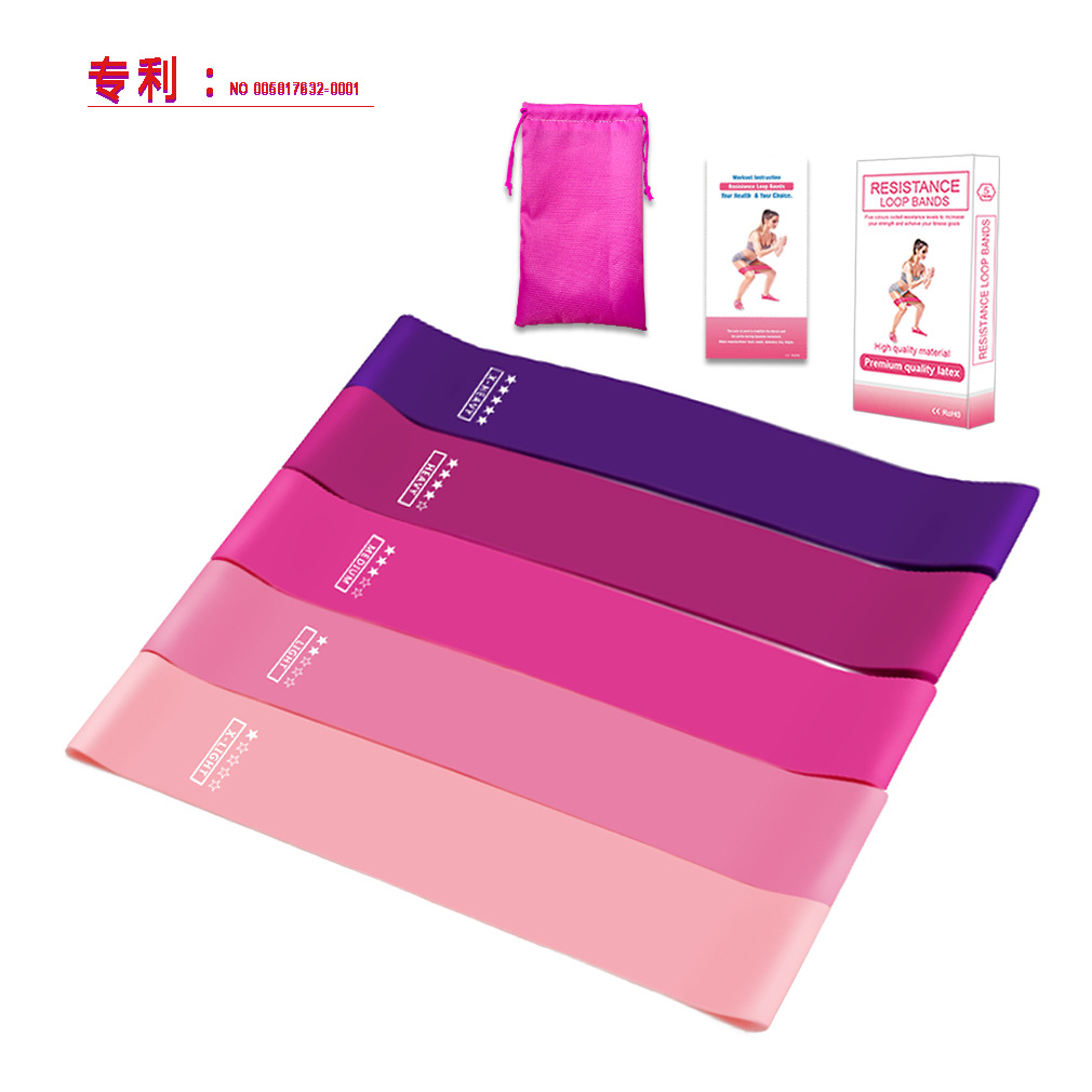 5 보라색 파우더 그라디언트 세트