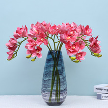 ��ϧ3D��ӡ10�^ޥ�m�Ҿ��b���[������Gֲ�辰�ٻ��S�����l