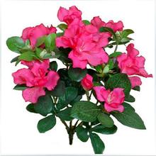 杜鹃花摆放花艺田园乡村杜鹃映山红仿真叶假花绿植仿真花装饰品