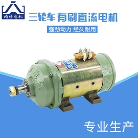 电动车电动机;伺服电机;微型电动机