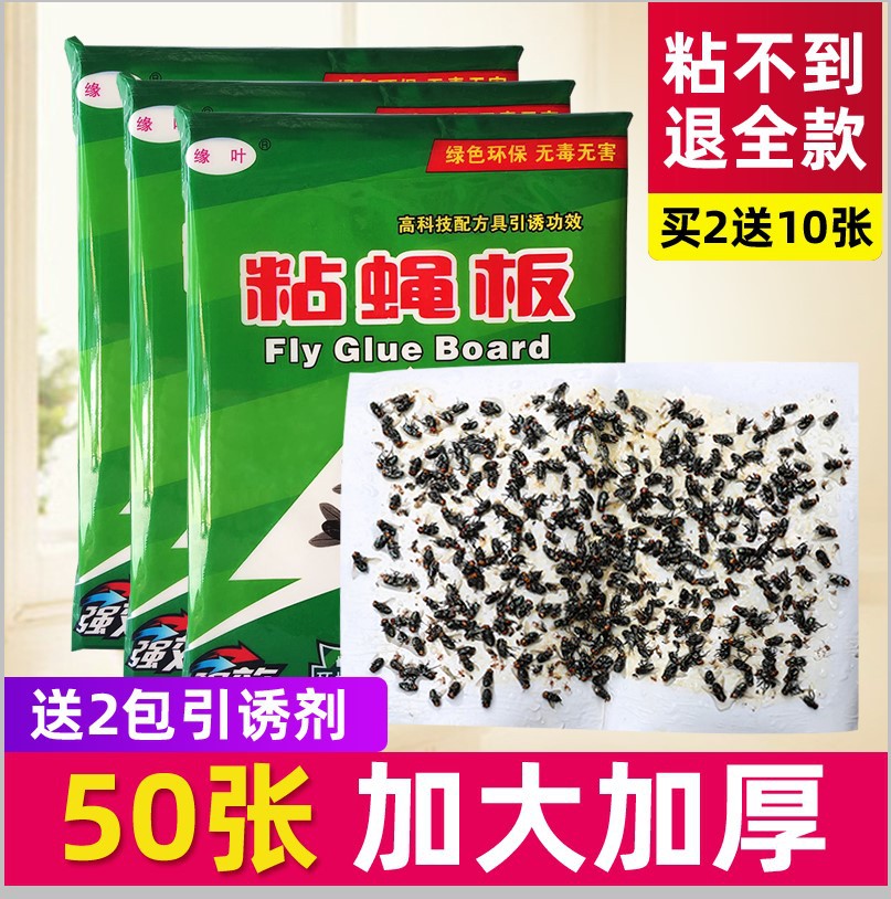 가장자리 잎 고집 플라이 종이 파리 고집 강한 고집 플라이 보드 킬러 유물 고집 플라이 모기 대형 50 개 팩