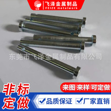 2.5�N� ����܇���S�U �F�L�������N� ���P䓹�U ���P�ֱ���S