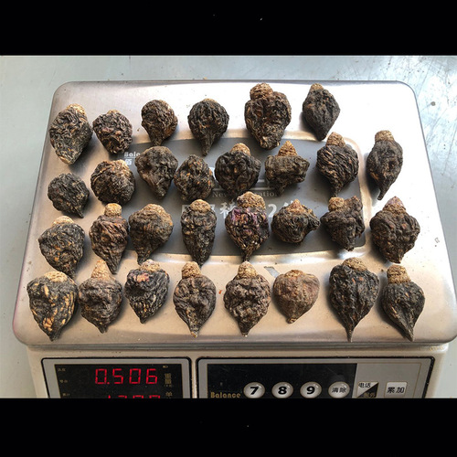 Yunnan Lijiang Maikang Origin Source Liquor Material Maikang Raw Material Dried Fruit Bulk Wholesale Black Maikang