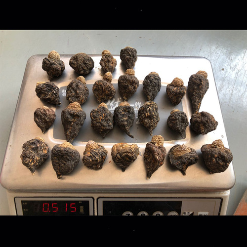 Yunnan Lijiang Maikang Origin Source Liquor Material Maikang Raw Material Dried Fruit Bulk Wholesale Black Maikang