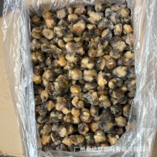 ��������� 19��/�� �V�����l���� ������ ������