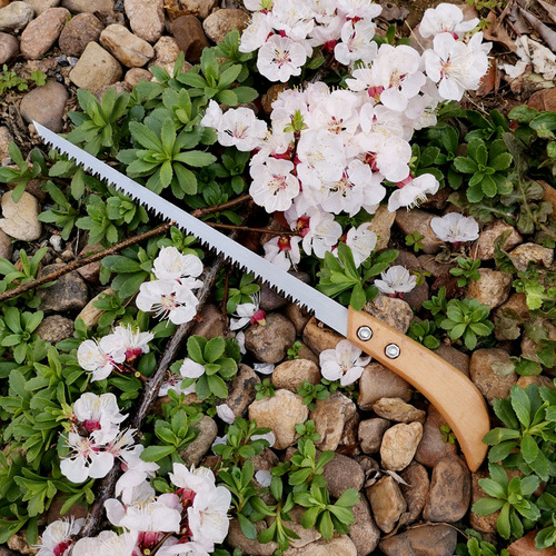 Garden tools through the wall chicken tail saw woodworking tip pruning saw plastic handle gypsum wall plastic handle hole digging saw