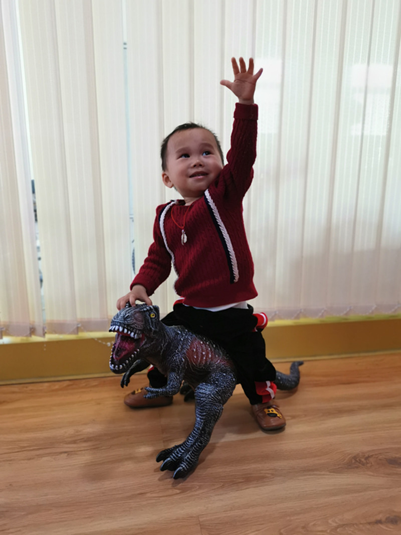 Giant Tyrannosaurus Dragon Simulation