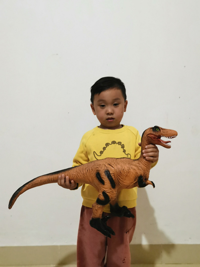 Large Simulation Raptors
