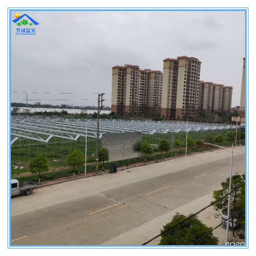 供应 增城葡萄园连栋温室大棚 水果种植大棚自然通风系统设计安装
