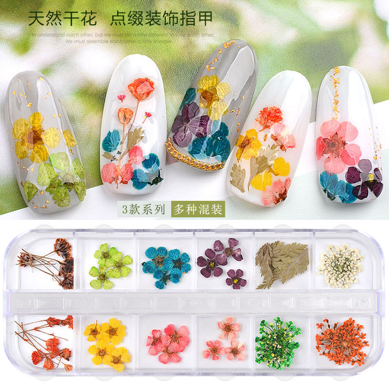 Nuevo clavo japonés flor seca 12 color estrella girasol Margarita 12 color flor seca decoración 24 uñas flores secas