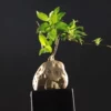 Small flower utensil with characters of Jing Jie Feng Zhi Yu