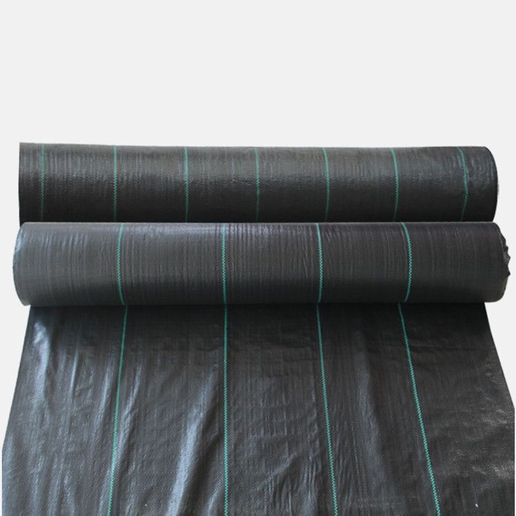 黑色遮阳护草布 农田温室塑料防草地布园艺用品防草布果树园地垫