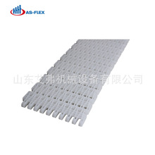 塑料输送网带网链输送带食品挡板流水传动带AF-OPB2