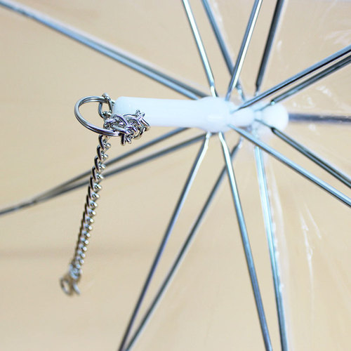 Bring the Teddy puppy pet plus reinforced chain transparent umbrella transparent dog supplies walking umbrella 6