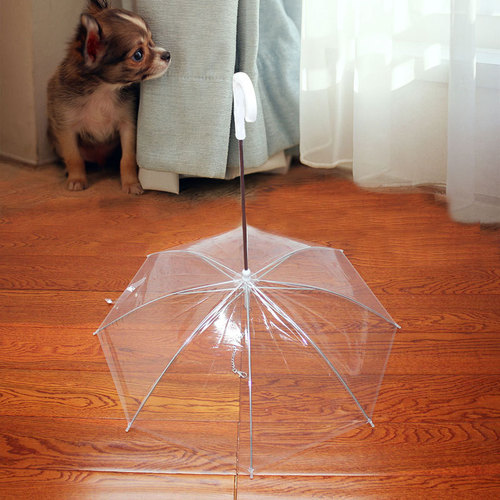Bring the Teddy puppy pet plus reinforced chain transparent umbrella transparent dog supplies walking umbrella 6