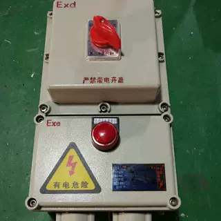 防爆漏电断路器220V380V铸铝合金防爆断路器BDZ52-16A32A40A60A
