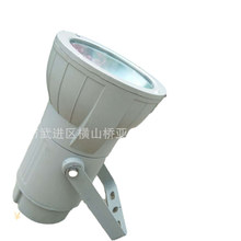 厂家批发供应70W 单端双端金卤投光灯钠灯电筒灯明装筒灯可装LED