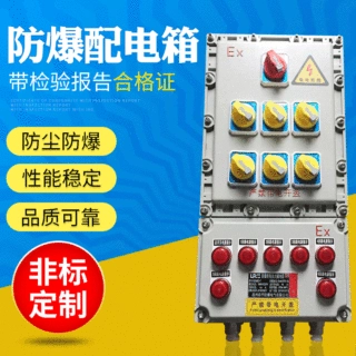 防爆照明配电箱BXM（D）51-10KAL回路防爆控制箱检修箱防爆开关箱