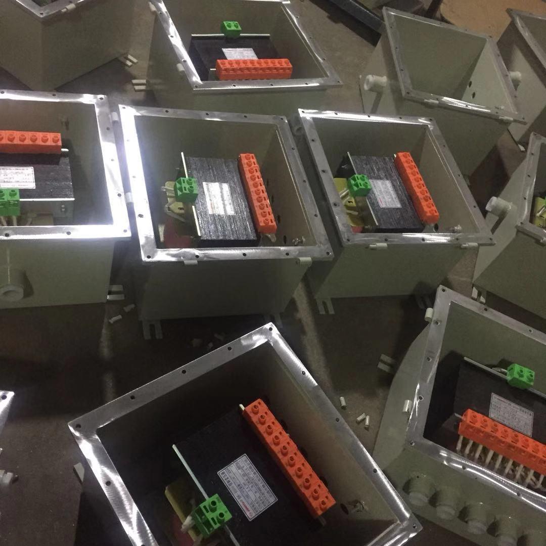 家用取暖600VA防爆变压器箱 输出36V24V12V洛平IIBT6