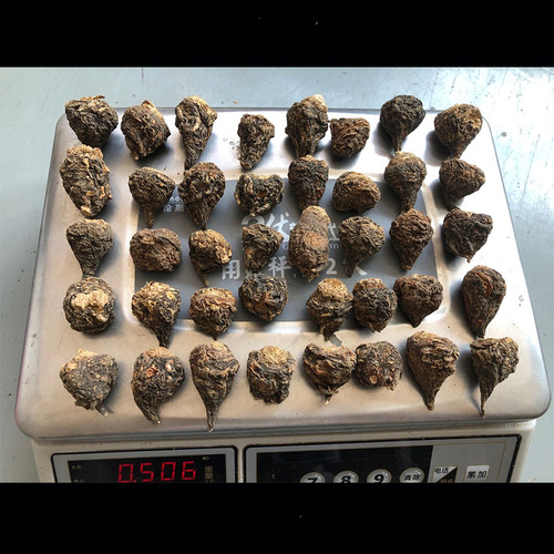 Yunnan Lijiang Maikang Origin Source Liquor Material Maikang Raw Material Dried Fruit Bulk Wholesale Black Maikang