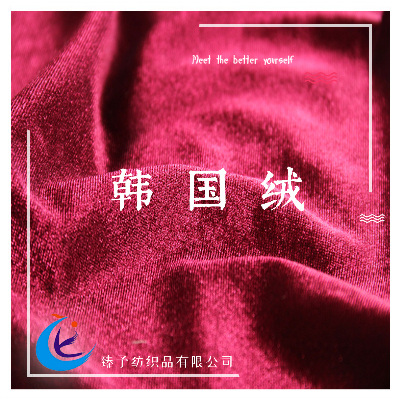 金丝绒韩国绒面料经编全涤弹力布料ks加厚运动套装睡衣沙发布面料