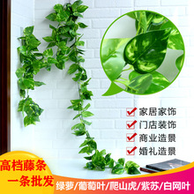 手感绿叶爬山虎假藤条绿萝绿植植物藤蔓塑料花树叶缠绕高仿真吊兰