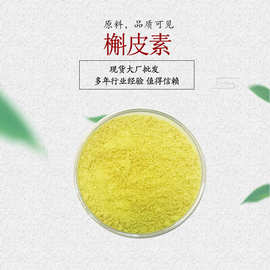 槲皮素 异槲皮素 1kg/袋 槐米提取物