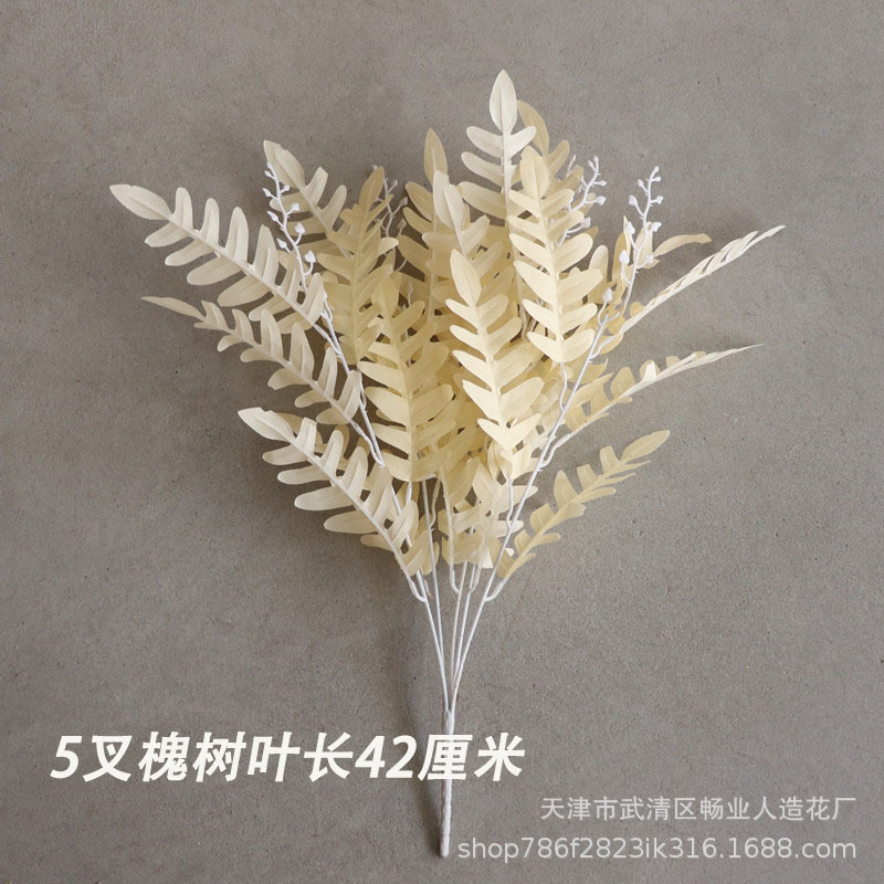 메뚜기 나무의 잎