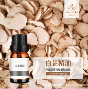 ���ƾ���Angelica dahurica oil�����ͳ��R����ȡ�η�����ԭ��