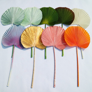 ��c���� 2̖�����~ ��Y�û�ˇܛ�b�Ӱ��g�b� ��������~