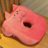 Pink cat