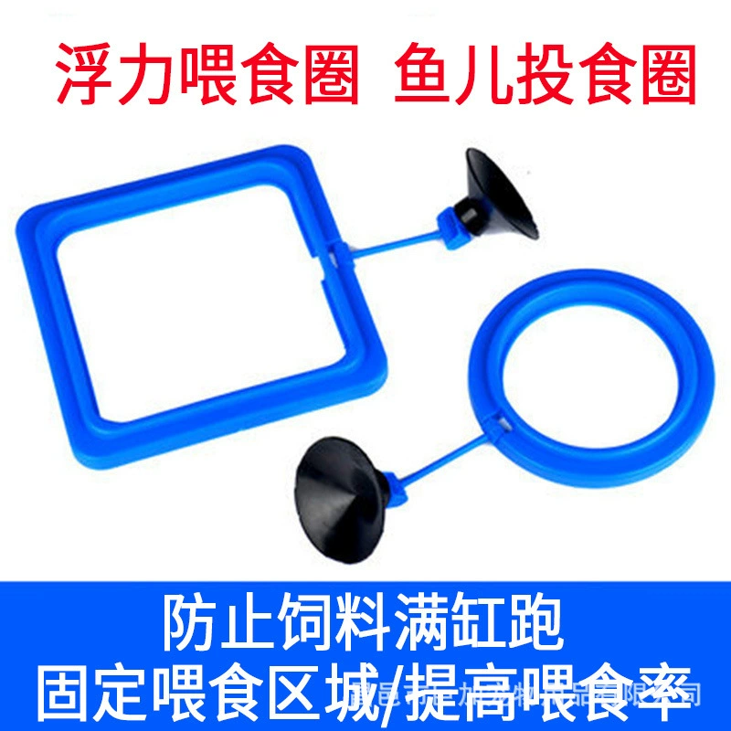 Кольцо для кормления аквариума кормление в неволе кольцо для кормления рыб кормушка для рыб корм для рыб плавающее кольцо