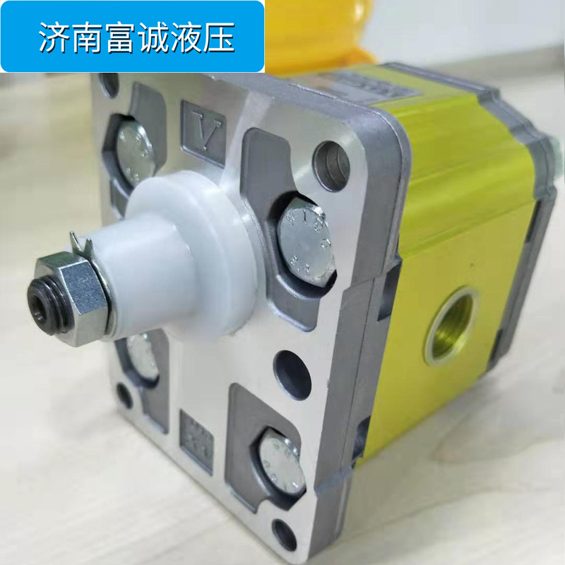 现货供VIVOLO液压泵铸铝齿轮泵XV-2P X2P4902EOOA维沃高压齿轮泵