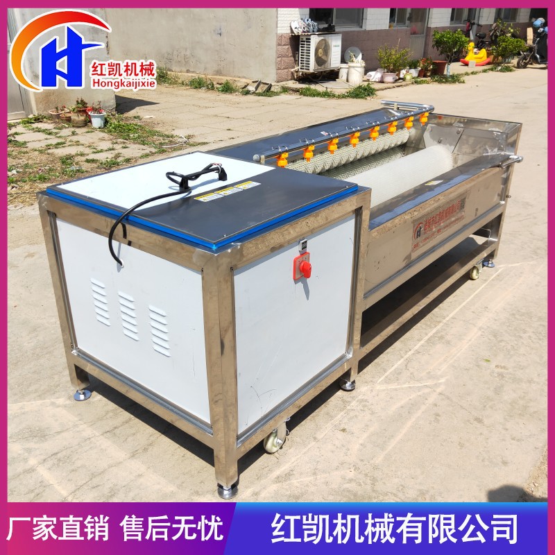 不锈钢胡萝卜毛刷清洗机 全自动去皮清洗机设备 海蛎子去泥机