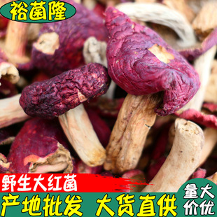 ��ԣ��¡��Ұ����t�� Ʒ�N�Mɽ�t�� ����خa �ɫƯ���r������