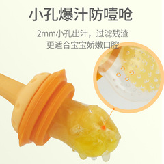 Baby Silicone Fruit and Vegetable Teether, Cartoon Baby Food Chew Bag