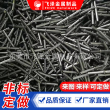 ��λ���F�S ����N��ᘹ��S 304���P䓹��S���ĈA����S ���S