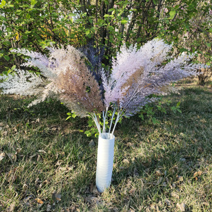 �͏d�Ҿӷ���ٻ����ϵ������� ��Y���b廨��̨Ӱ���Ĕz����