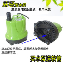 ~^VѭhˮˮˮÓQˮ~ˮ