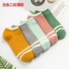 Stockings girl [Five -color, two bar thin models]