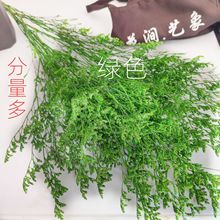 ˲ ˲  ͶY ˹ ˹ ˇb